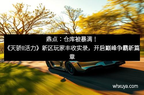 鼎点：仓库被暴满！《天骄II活力》新区玩家丰收实录，开启巅峰争霸新篇章